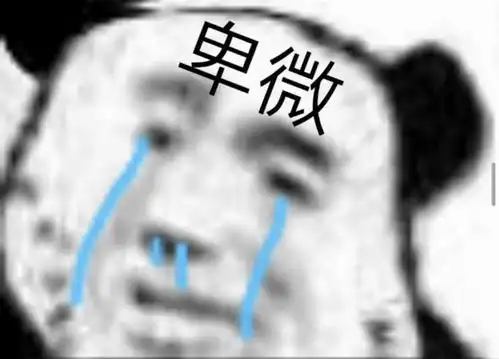  搞笑表情包宁照照镜子