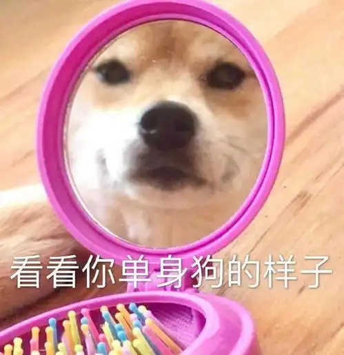  为了你们的终身大事,粉笔佳缘回来了