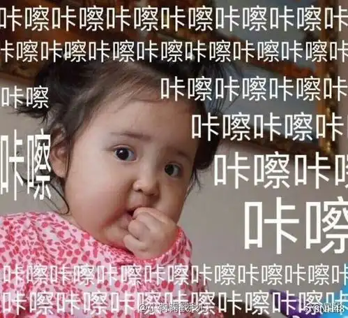  snh48微周刊之宠物特刊二