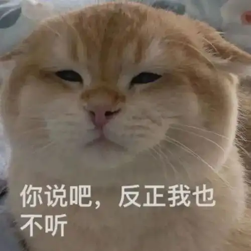  詹姆斯力挺威少神龟究竟会花落谁家