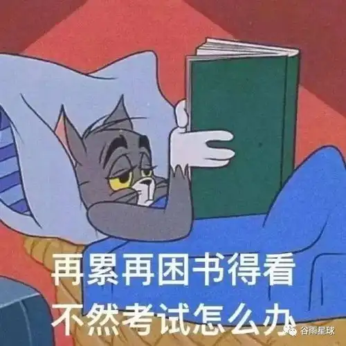 我在全美top1公立牛校学计算机,差点被卷成恐怖片