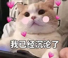  斗图表情包合集停一停,朋友