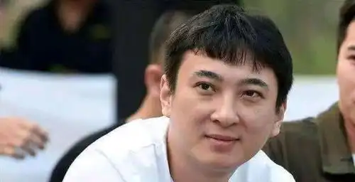  王思聪点赞半藏森林动态,五字评论引不妥,网友表情包这么重要
