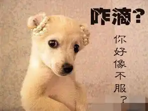  我的s3油耗最低不服来战啊!_湖南弘淮汽车店内活动-汽车之家