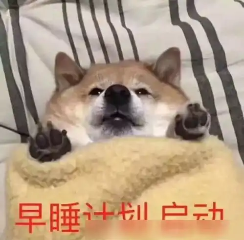 我已经躺好了表情包我要