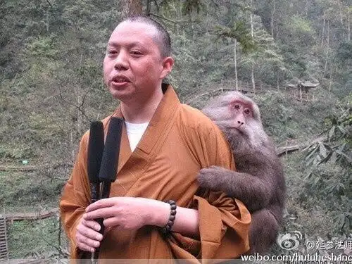  峨眉山有些猴子是不是这世间最灭绝猴性的一群泼猴