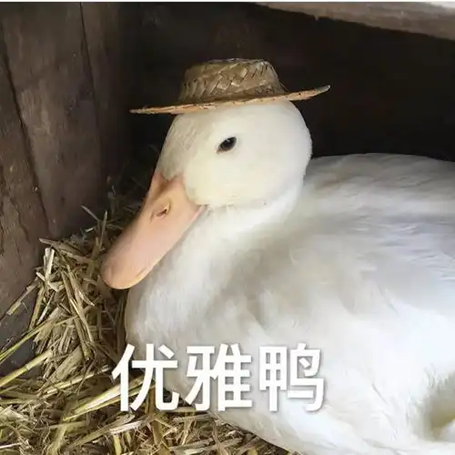  这年头,不会搞点街头文化都混不下去了