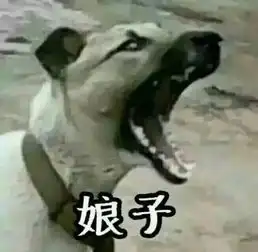 勇敢狗狗不怕困难表情包