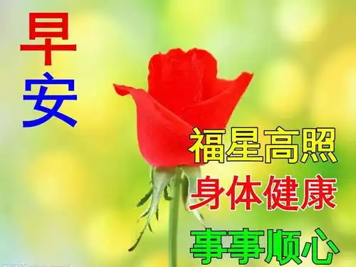  星期天早安非常漂亮的早上好问候表情图片带字,周末愉快