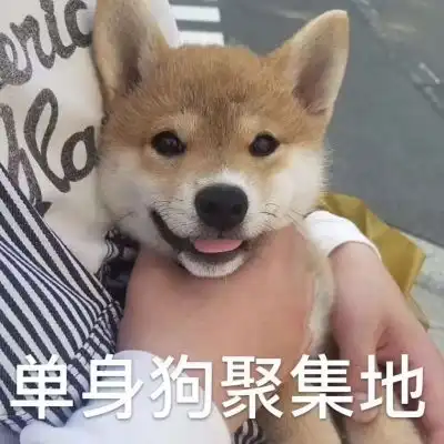  咳咳,单身狗表情包