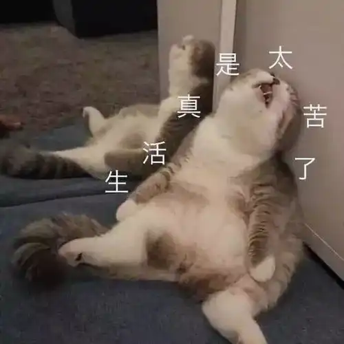  造假商我们是有底线的,只要不出人命就可以
