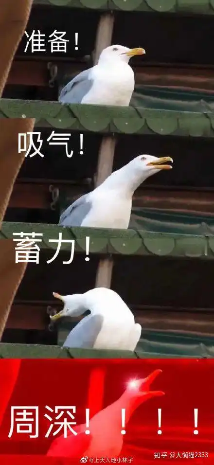  可以分享一下最近收藏的周深的表情包吗