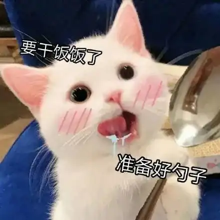  猫猫表情包系列这是你跟我说话的态度
