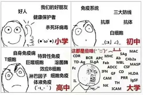 表情用一个表情包形容你的专业表情