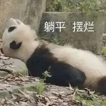  超可爱的熊猫表情包