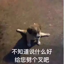  连娱乐圈这几对都是假恩爱我再也不相信爱情了
