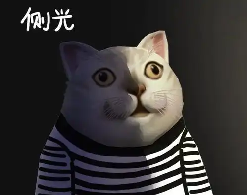大嘴猫猫表情包无文字