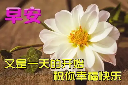  12月1日最漂亮早上好动态表情图片大全,早晨好动图美图大全