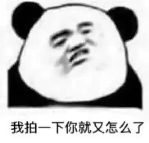 熊猫头表情包最新拍一拍