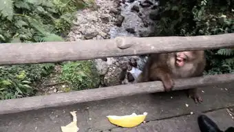  北京峨眉山重庆