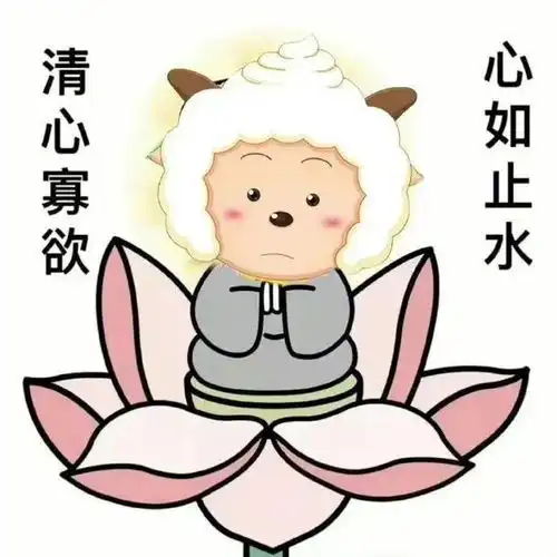  表情包做一朵莲花,心静如水,清心寡欲