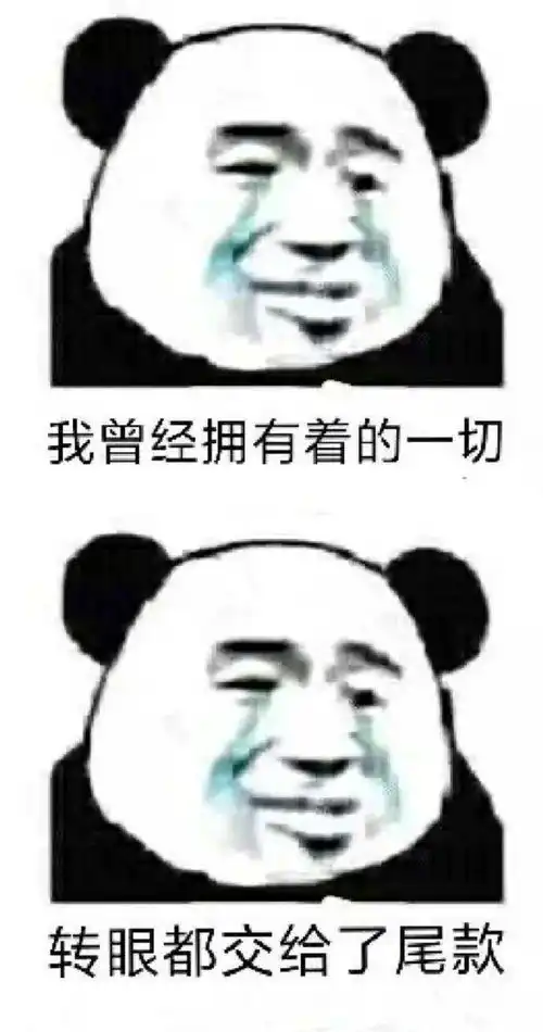  熊猫头表情包撩我请拿号排队