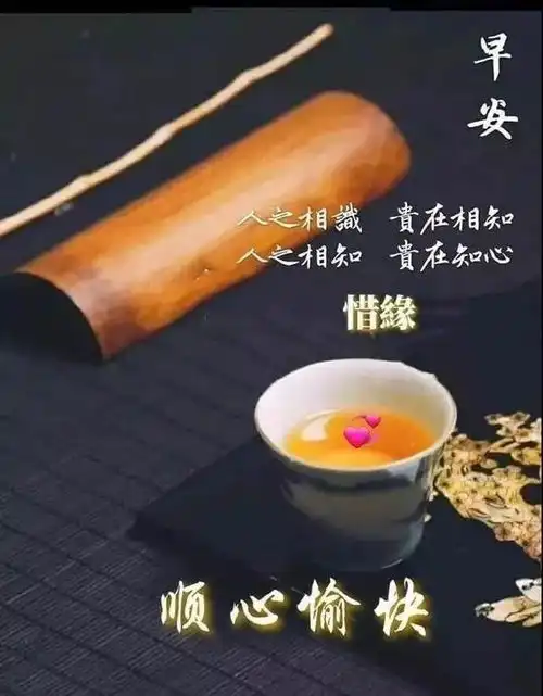 畅开心情拥抱今天,带着自信展望明天,烦恼忧伤任风而去,早晨好