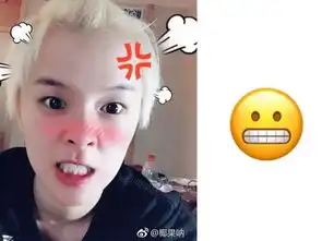  表情包少女sunnee相似度100