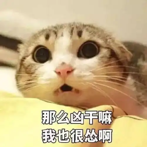  千万别买这些单品我用过一次就彻底闲置了