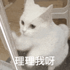 跟你超配的沙雕表情包
