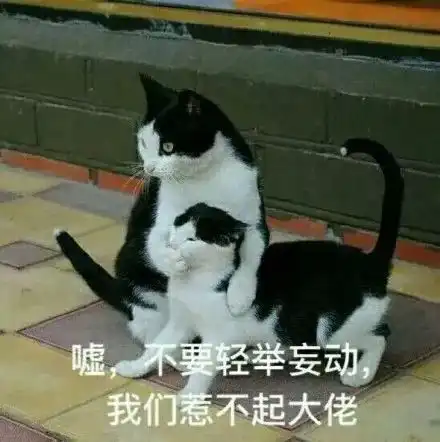  聪明的富二代,知道啃老