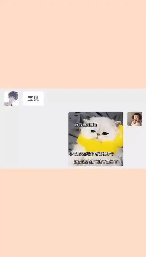  艾特男朋友沙雕操作表情包小可爱已上线聊天记录