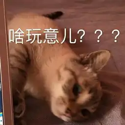  婚内出轨逼老婆离婚,居然还交往过欧弟的老婆,曹云金十级渣男