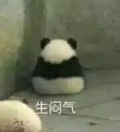  国宝熊猫表情包