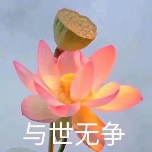  姐妹们关于这些护肤品我能买吗