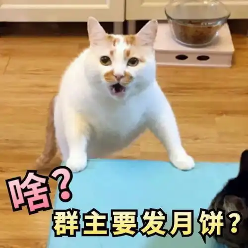  中秋节没人送你月饼aa叫你一招