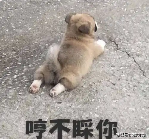  搞笑段子在你身上,发生过什么让大家笑疯的事情