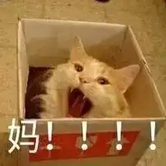 妈咪表情包大全母亲