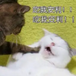  歌单网易云音乐