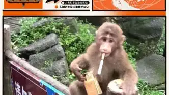  峨眉山
