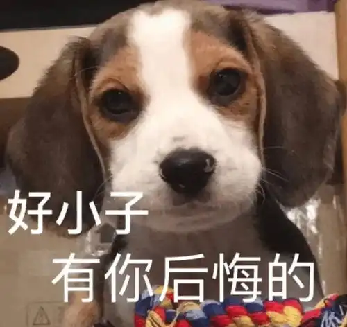  来吃油饼包烧卖了