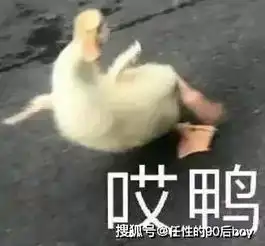  新型诈骗二连弹快扩散美团短信新漂流瓶app诈骗预警