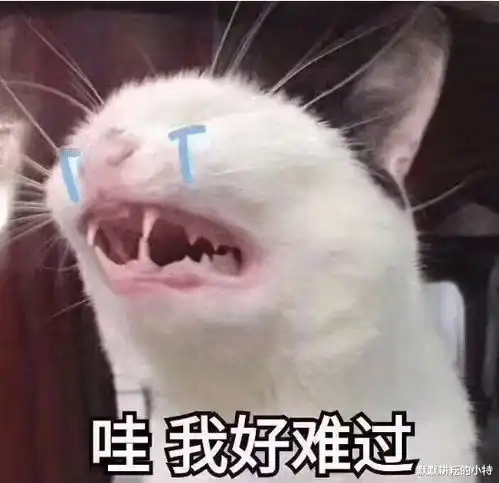  笑话高速服务区女生都去上男厕所,你看过这吃惊的一幕吗