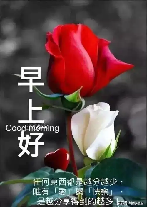  6月18日很漂亮的早上好动图表情包初夏早上好图片大全带字