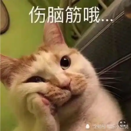 倭蜂猴表情包小狐狸