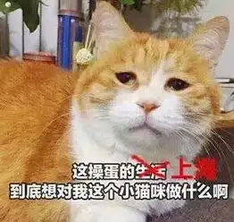  郑重宣布今天起,上海将有4个洋气的新名字