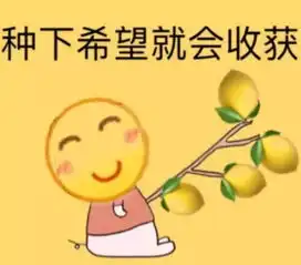  波士顿出发尼亚加拉瀑布的浪漫玩法