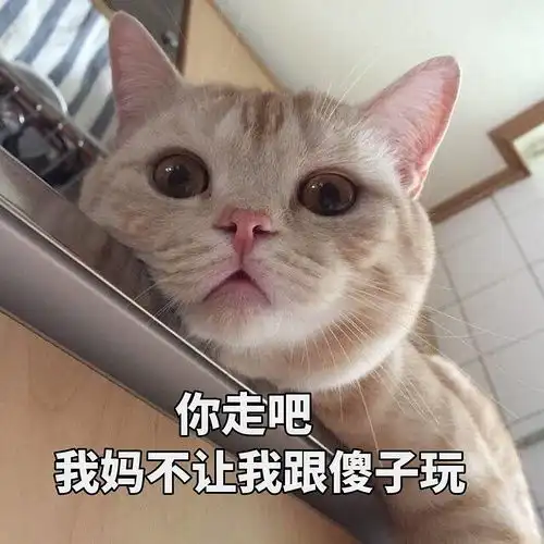  总有人给自己渣男渣女的行为开脱
