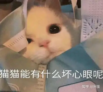  各位老铁们,现在go九种肉吃不了了,请问要换什么猫粮啊