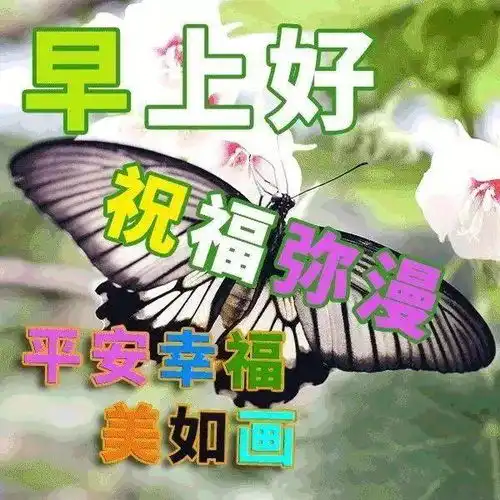 3月2日春天早上好动图表情包图片带字,春天早安问候祝福语图片大全动图2022 3月2日春天早上好动图表情包图片带字,春天早安问候祝福语图片大全动图2022